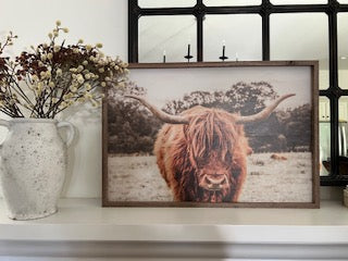 Highland Pasture